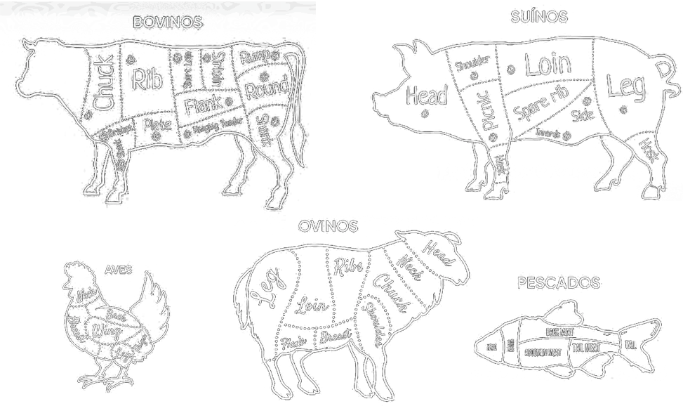 Diagrama de Cortes Bovinos, Suínos, Aves, Ovinos e Pescados